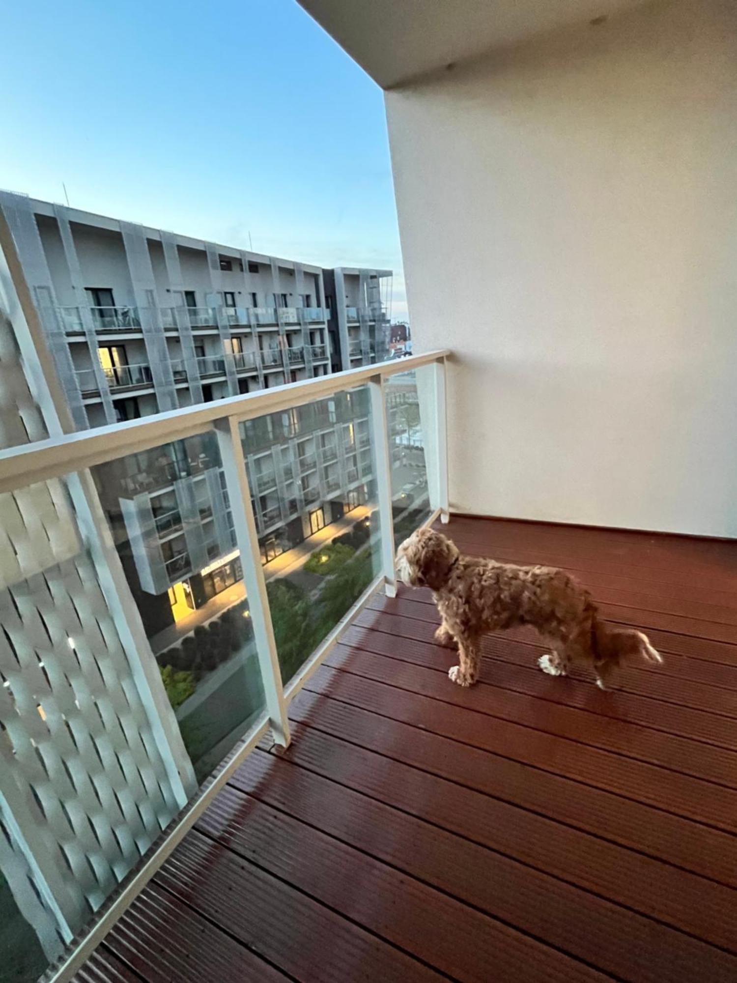 Family House By The River Odra -Panoramic Terrace - 3Room Apartment With 2 Separate Bedrooms And 2 Balconies By Wroapart-Pl- Perfect For Family & Business Stays Wroclaw Exterior photo